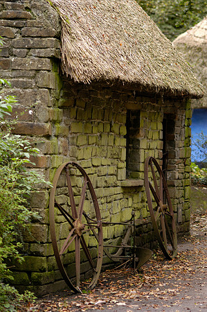 Thatched Roof